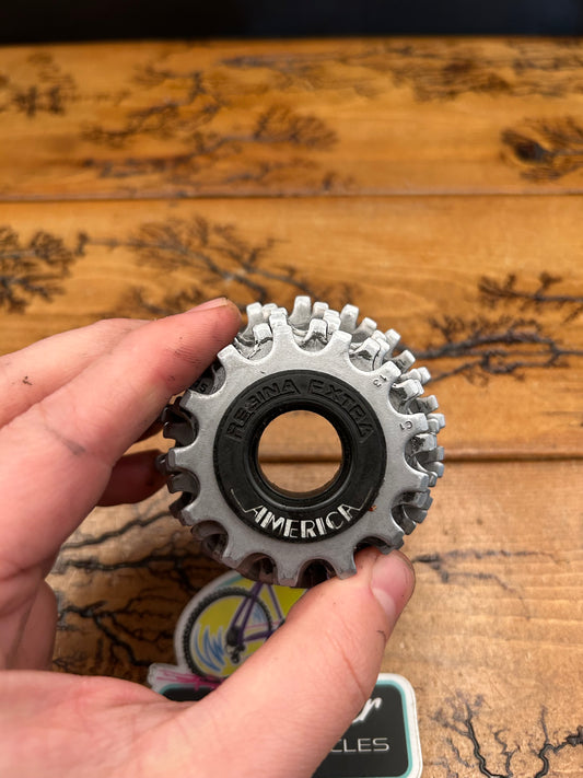 Regina Extra America 13-18 6 Speed Freewheel