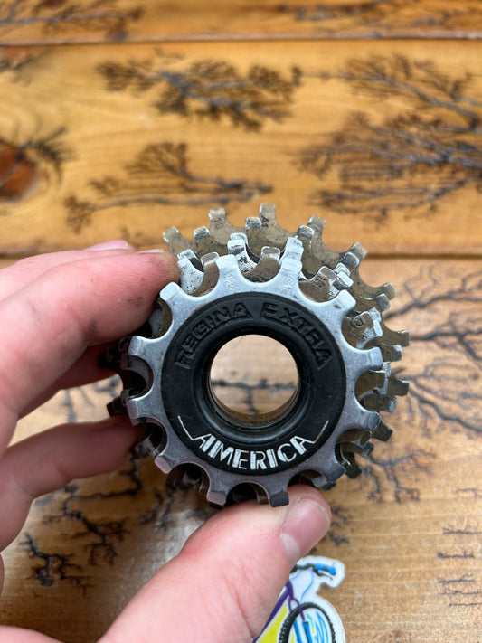 Regina Extra America 12-19 6 Speed Freewheel