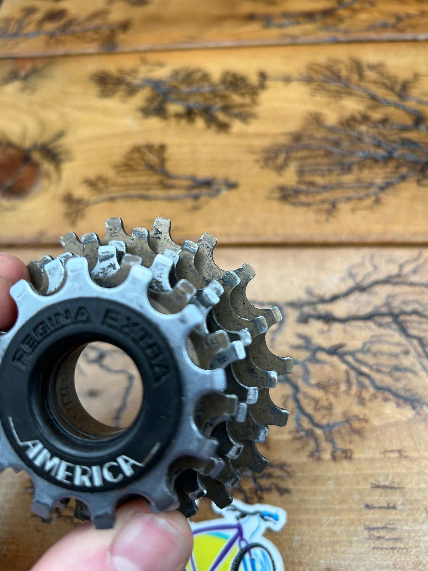 Regina Extra America 12-19 6 Speed Freewheel