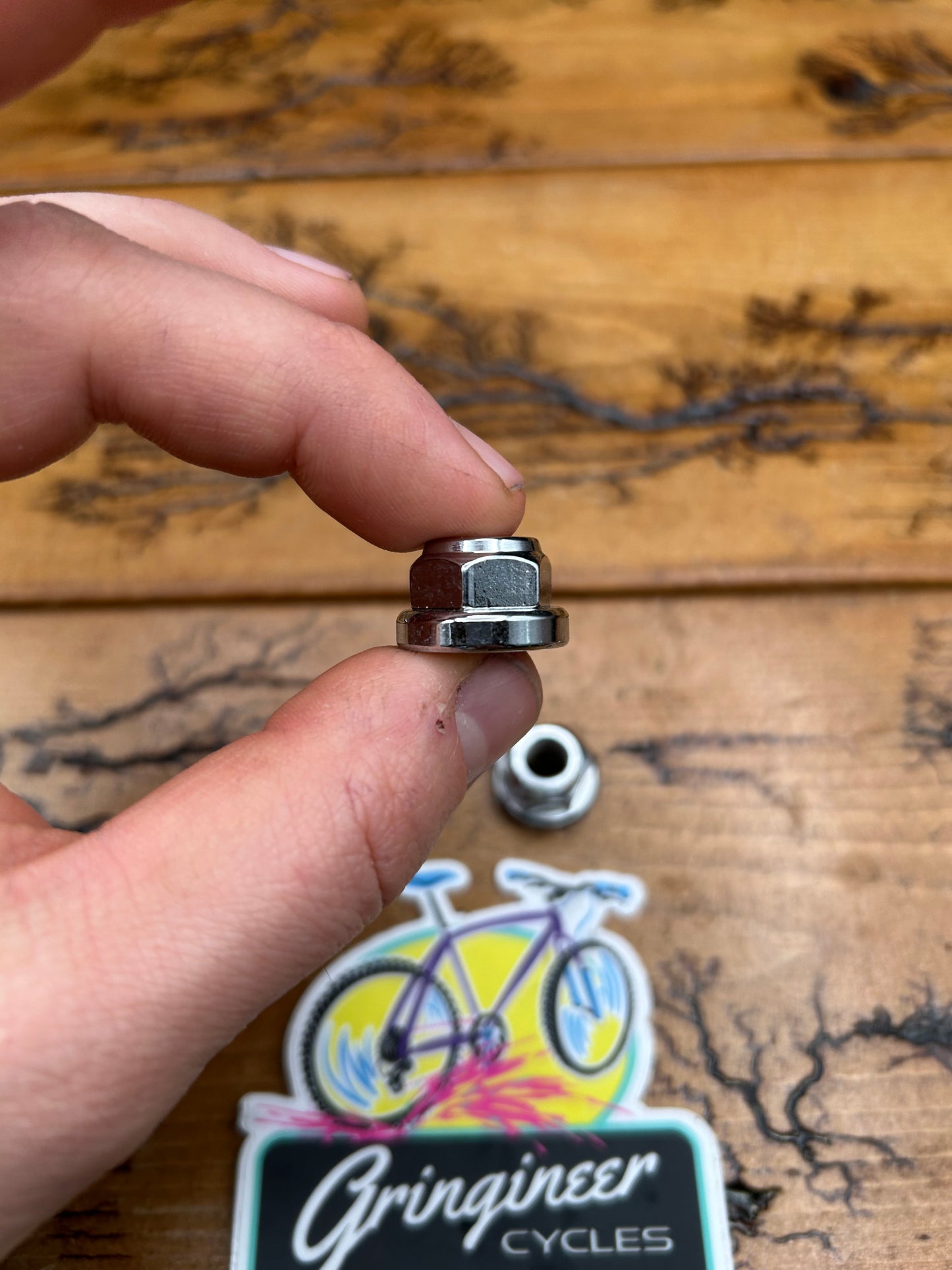 Campagnolo Track Front Axle Nut Pair Part # 667