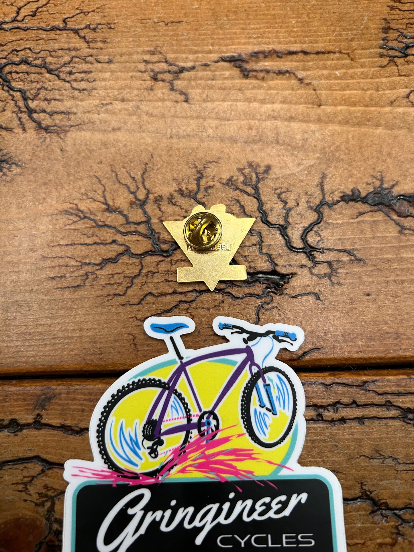 DT Swiss Lapel Pin