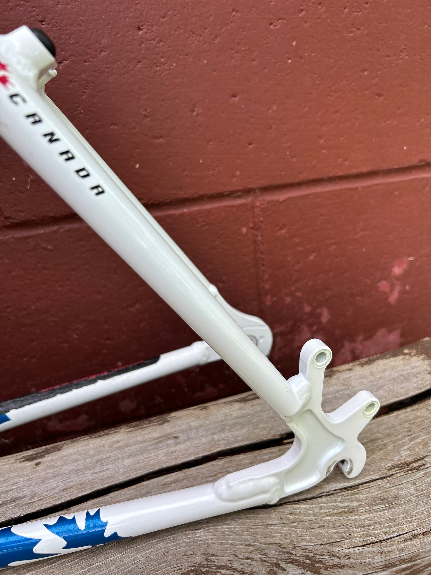 19.5" Rocky Mountain Vertex T.O Frame