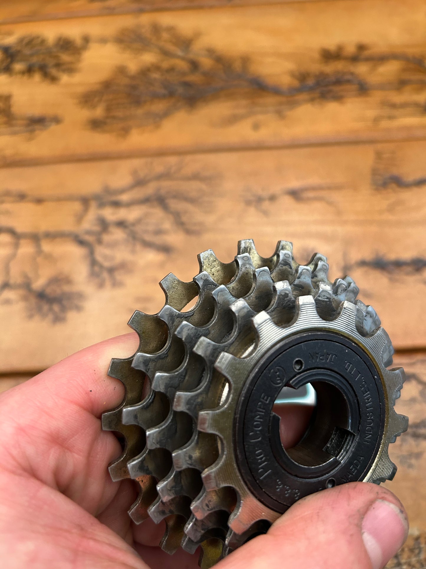 Suntour Pro-Compe 14-22 5 Speed Freewheel