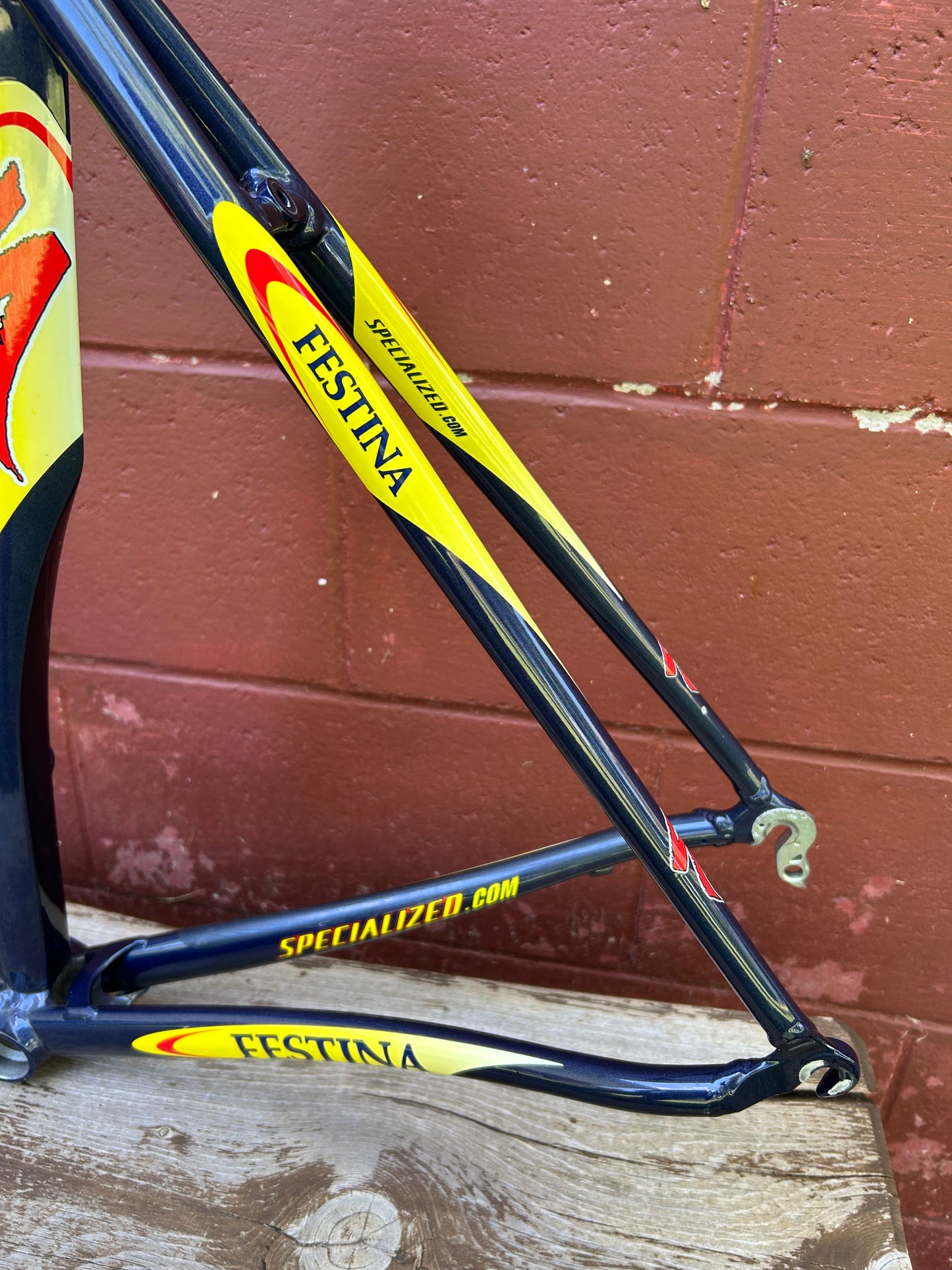 54cm Specialized S-Works Team Festina Frameset
