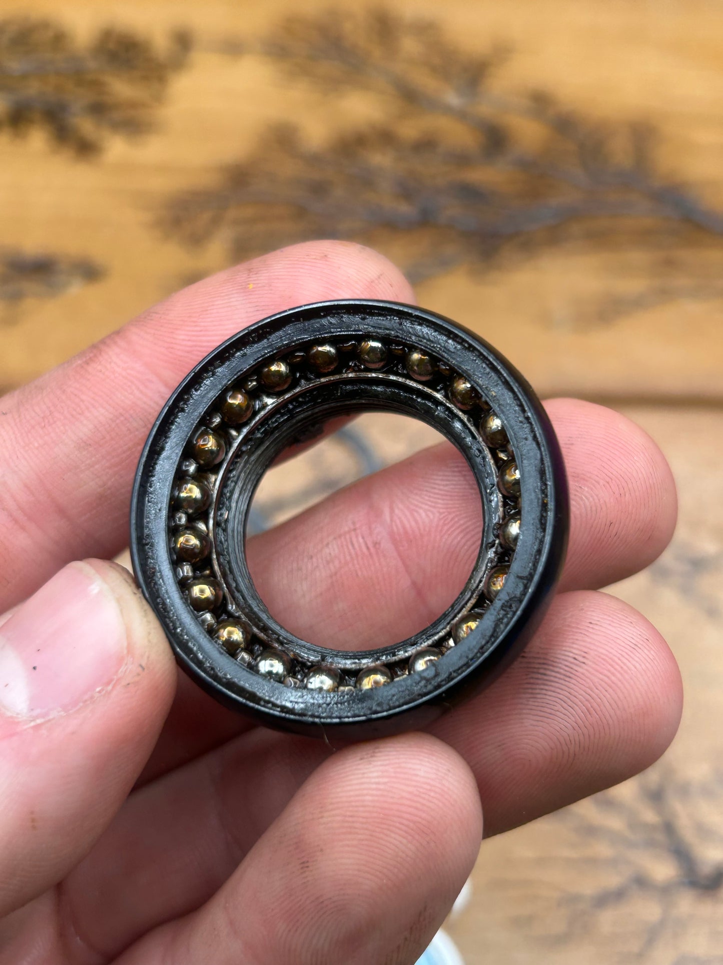 Tioga Expert CR 1 Inch Threaded Headset