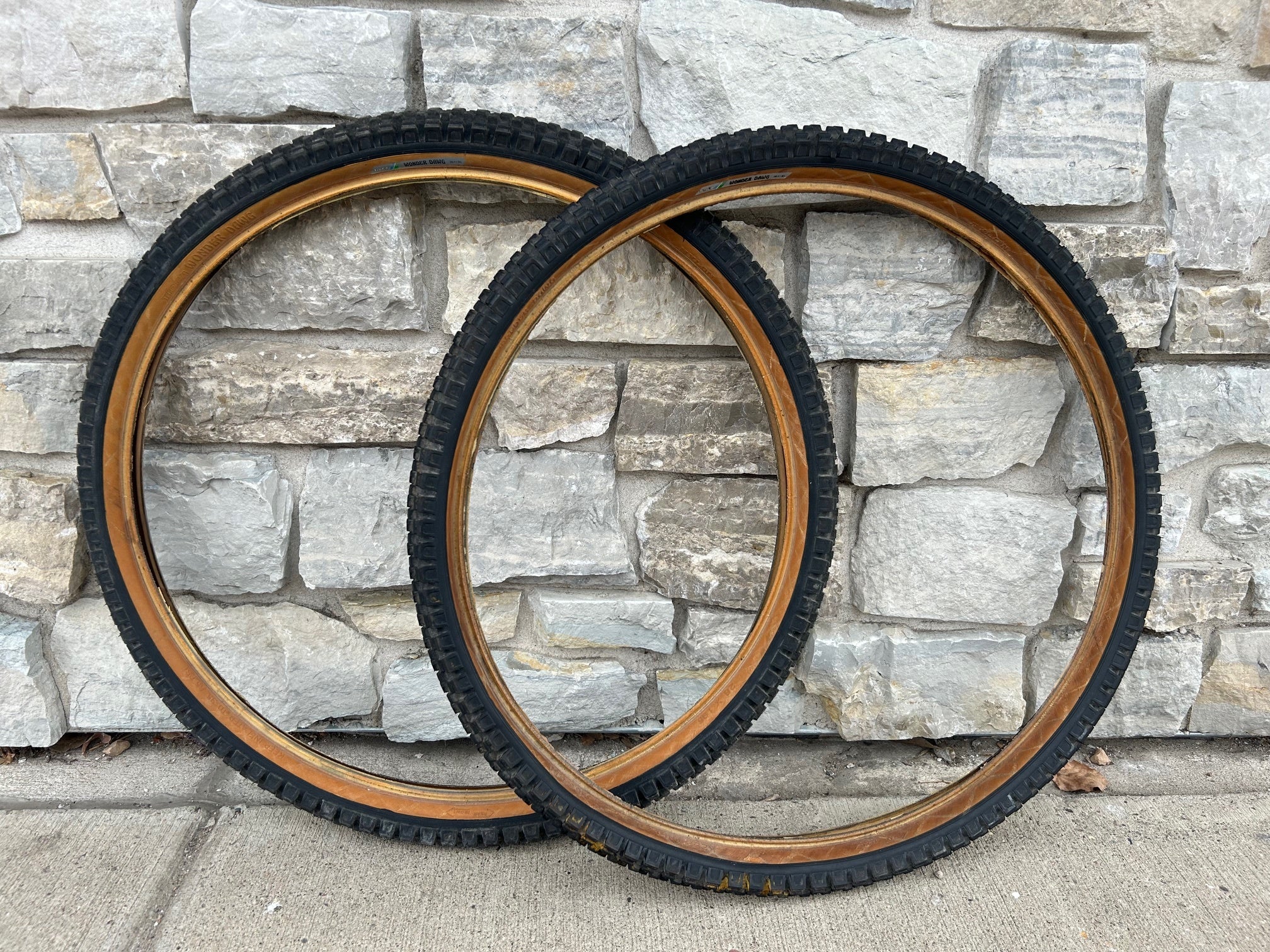 Tioga Wonder Dawg 26x1.95 Tire Set – Gringineer Cycles