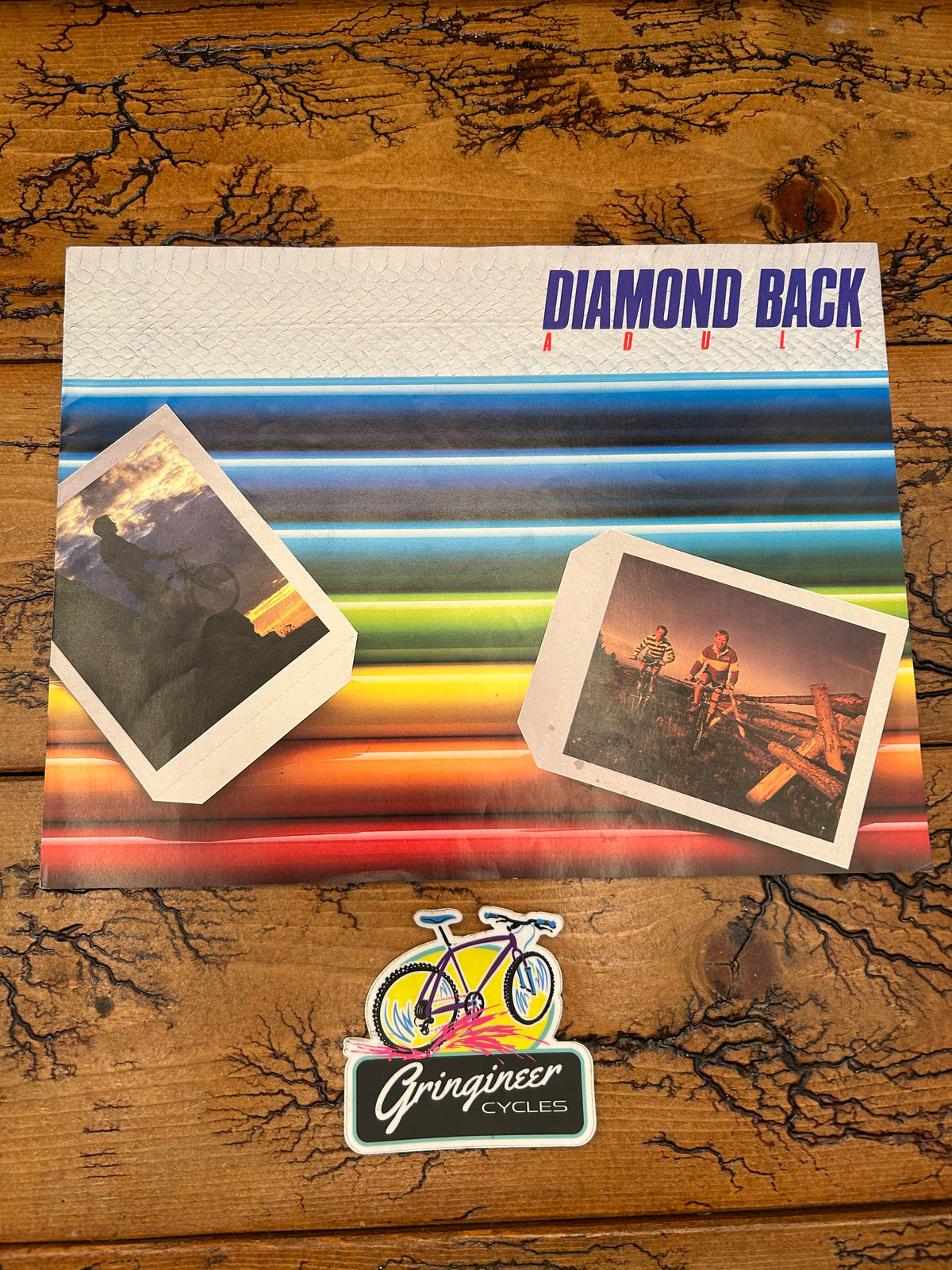 1987 Diamond Back Catalog