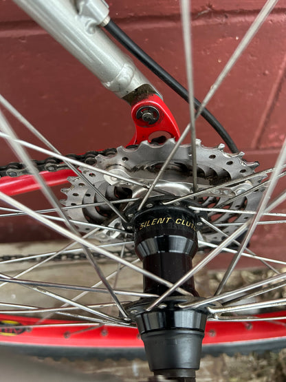 20" Yeti ARC-AS Custom Mountain Bike