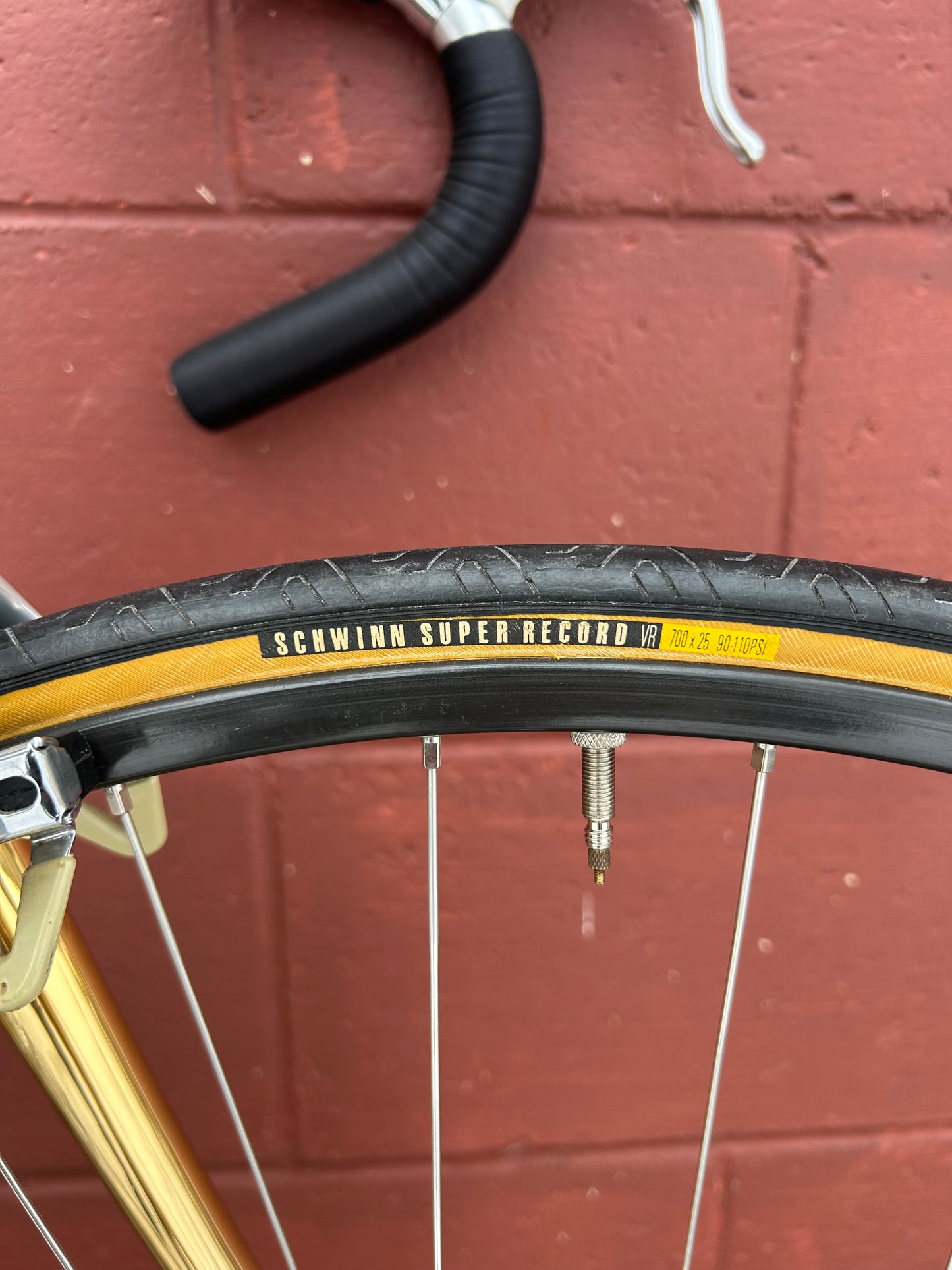 1988 49cm Schwinn Paramount 50th Anniversary Road Bike