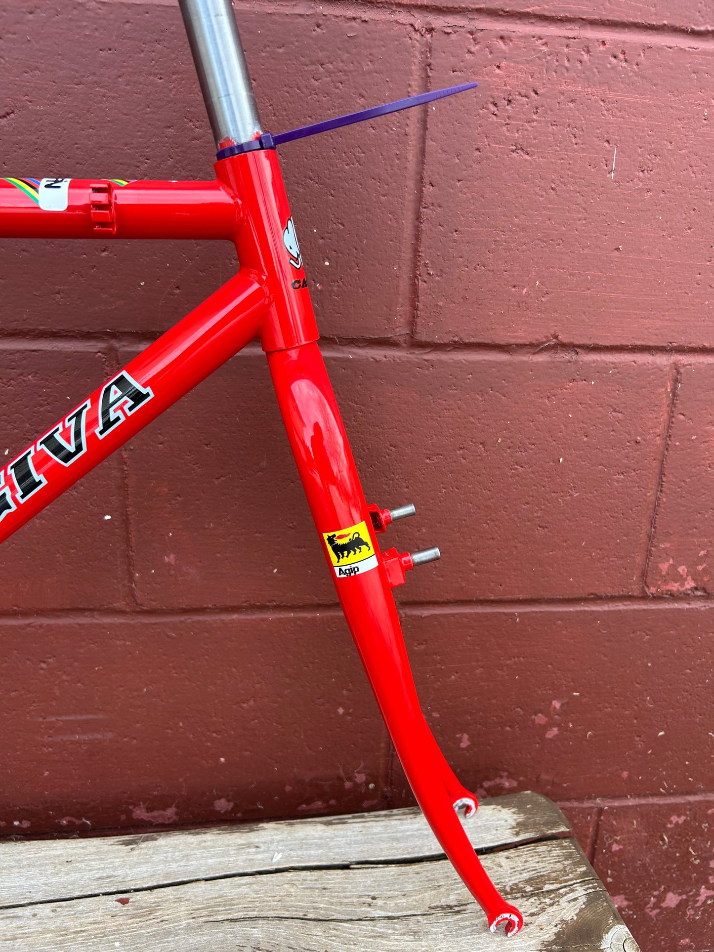 1993 16.5" Scapin Team Cagiva Frameset