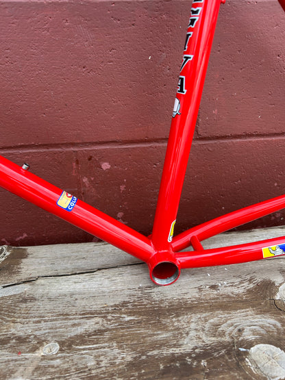 1993 16.5" Scapin Team Cagiva Frameset