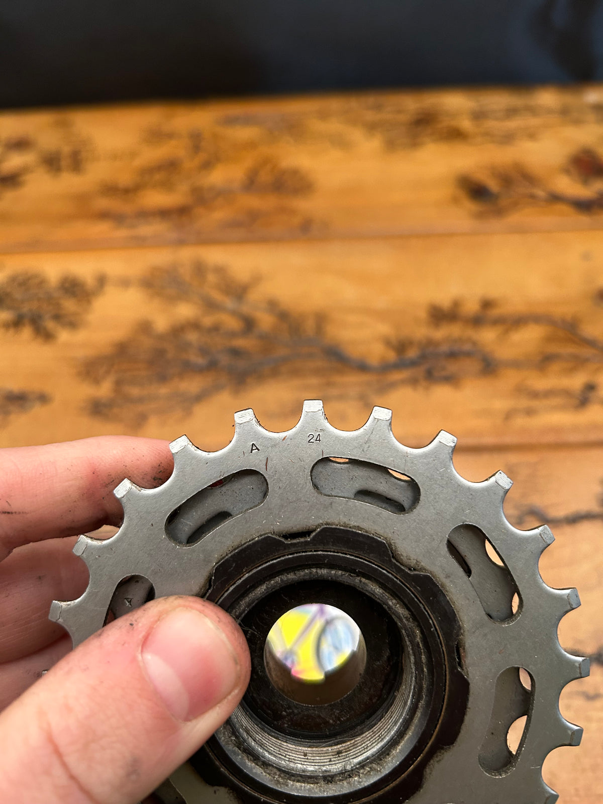 Suntour Winner Pro 13-24 7 Speed Freewheel