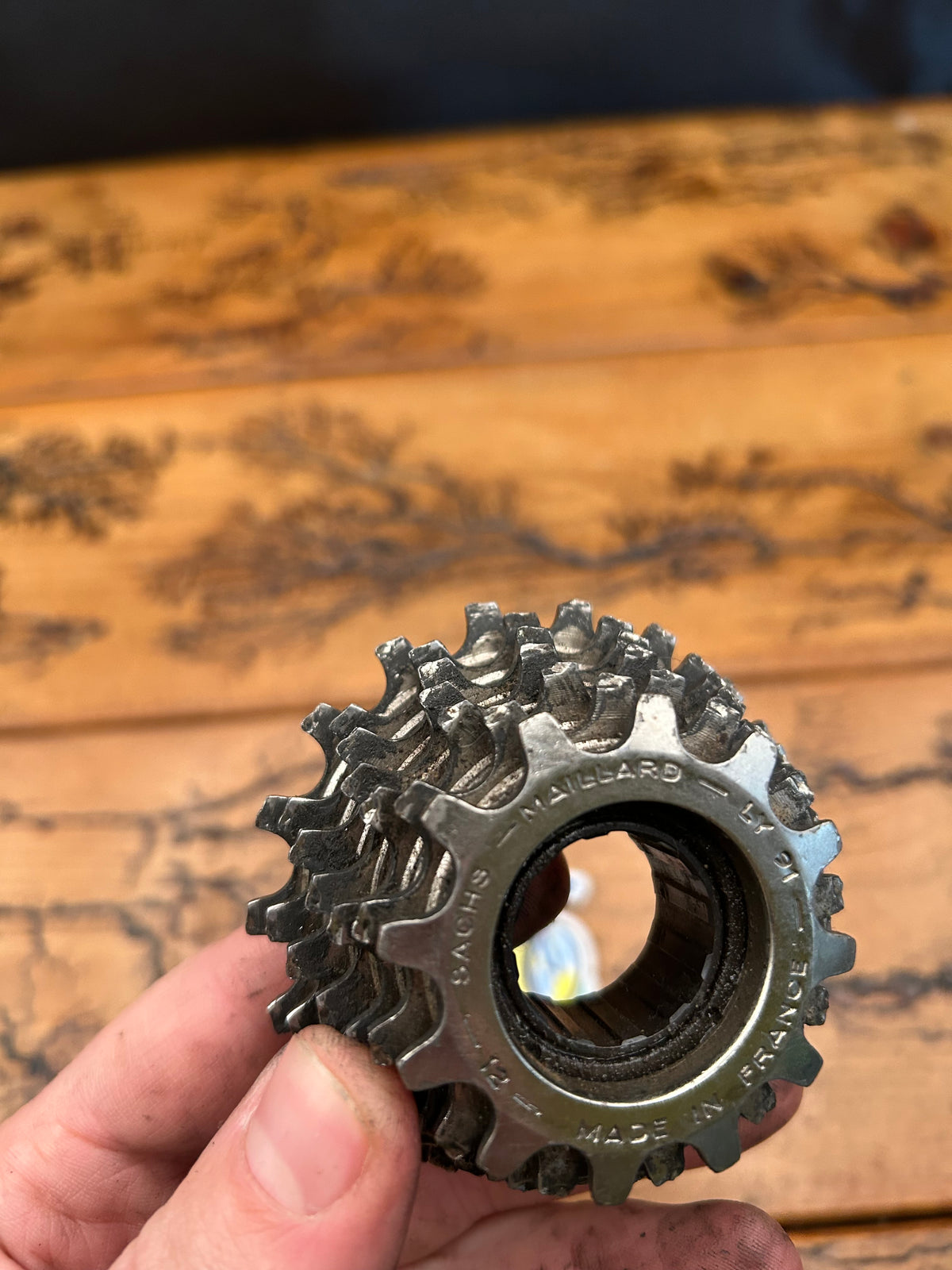 Sachs Maillard 12-18 7 Speed Freewheel