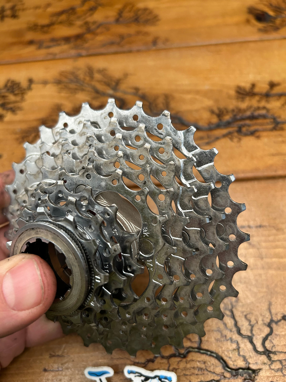 Shimano Deore XT CS-M737 11-30 8 Speed Cassette