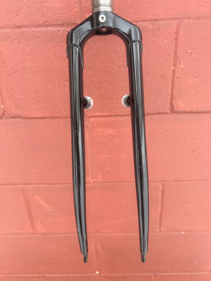 Peacock Groove 700c 1 1/8 Threadless Steel Fork