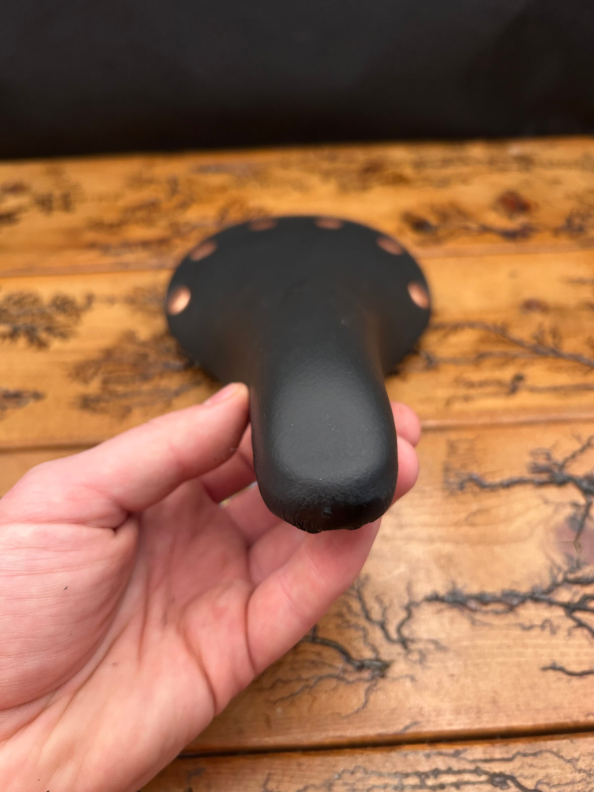 Selle San Marco Saddle Regal Titanium Rail Saddle