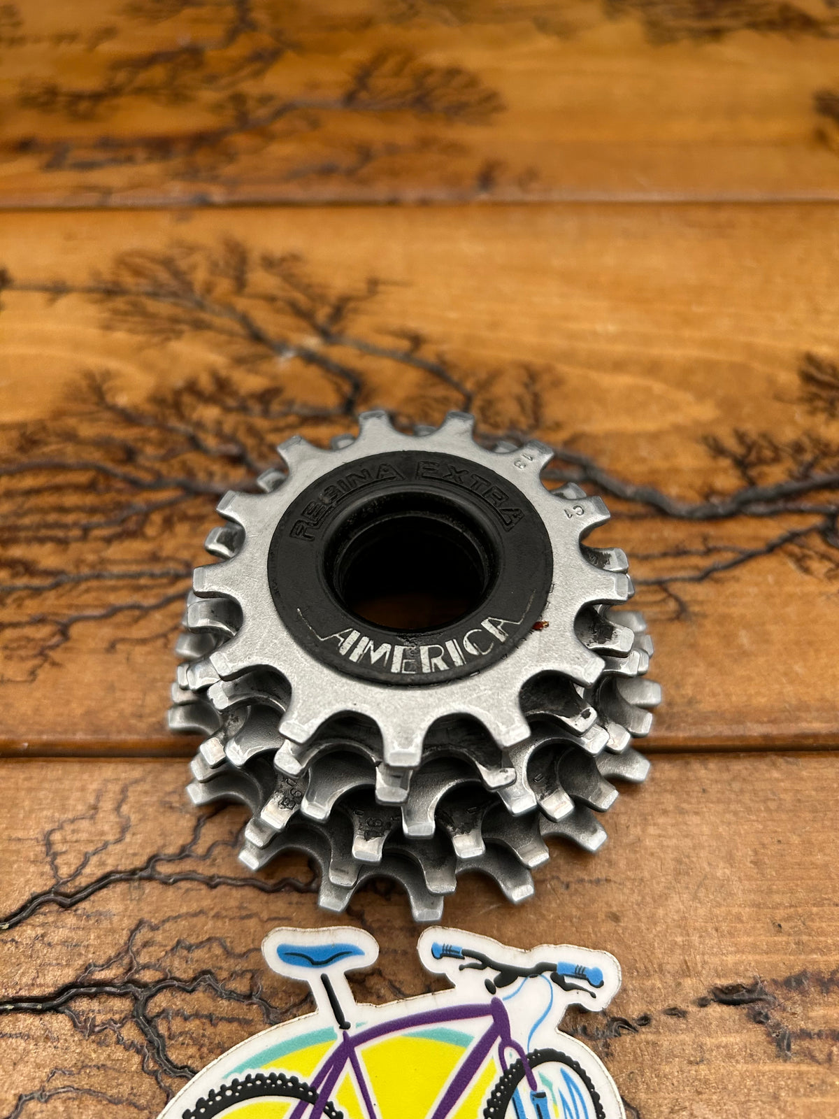 Regina Extra America 13-18 6 Speed Freewheel