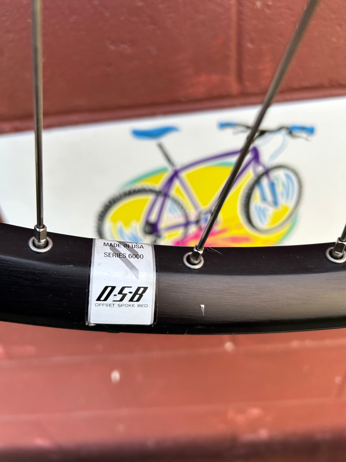 Bontrager Big Earl 26" 6 Bolt Disc Brake Rear Wheel NOS