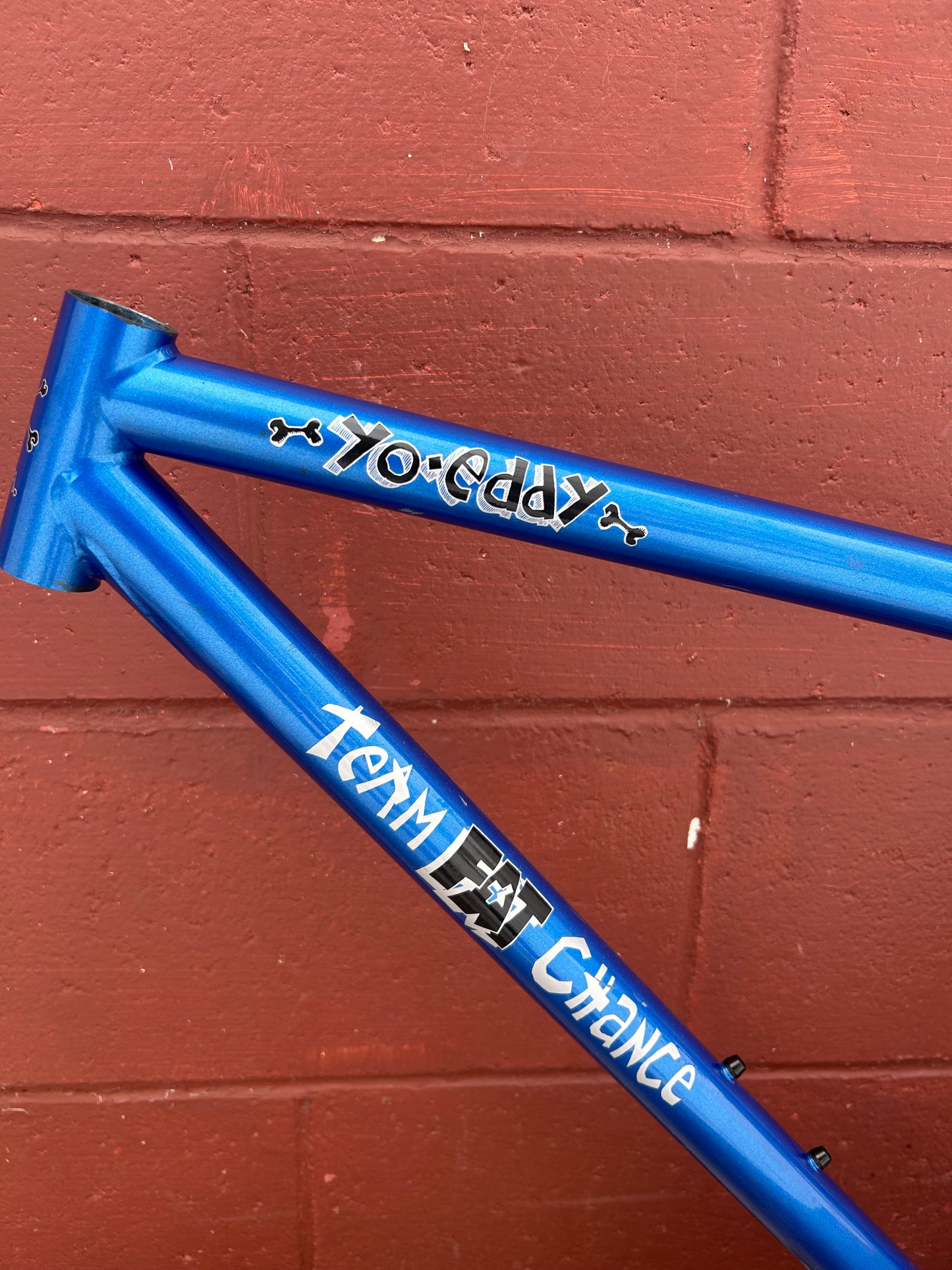 1996 Small/Medium Team Fat Chance Yo Eddy Frame