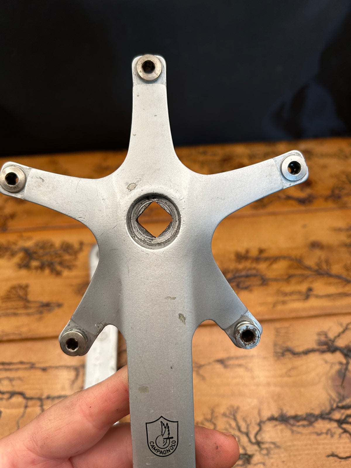Campagnolo Xenon 172.5mm 135 BCD Crankarms