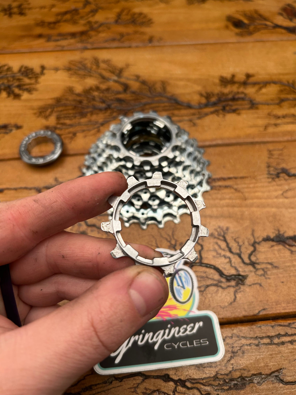Campagnolo 11-25 10 Speed Cassette