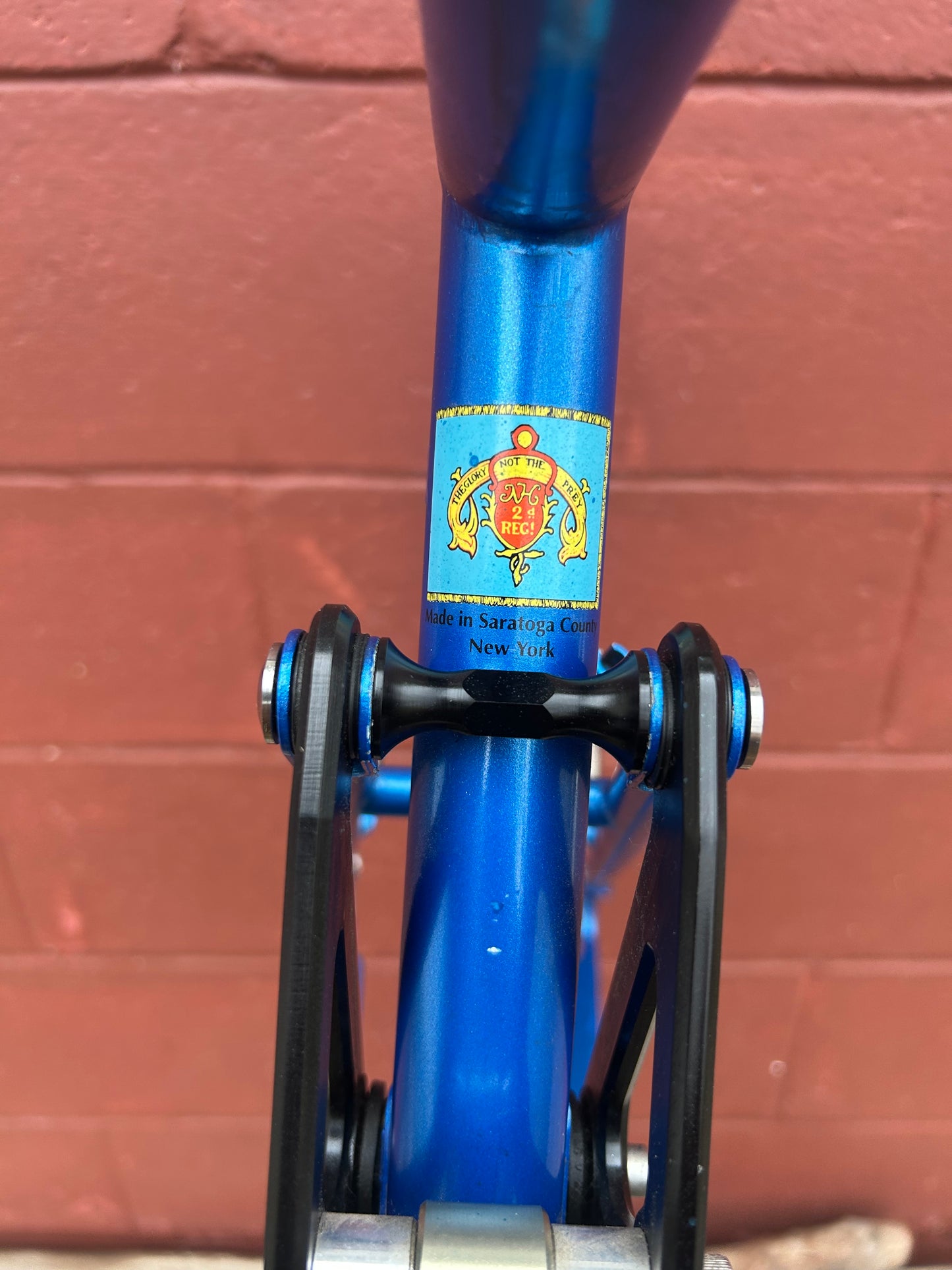 19.5" Fat Chance Medium/Large Shock A Billy Frame