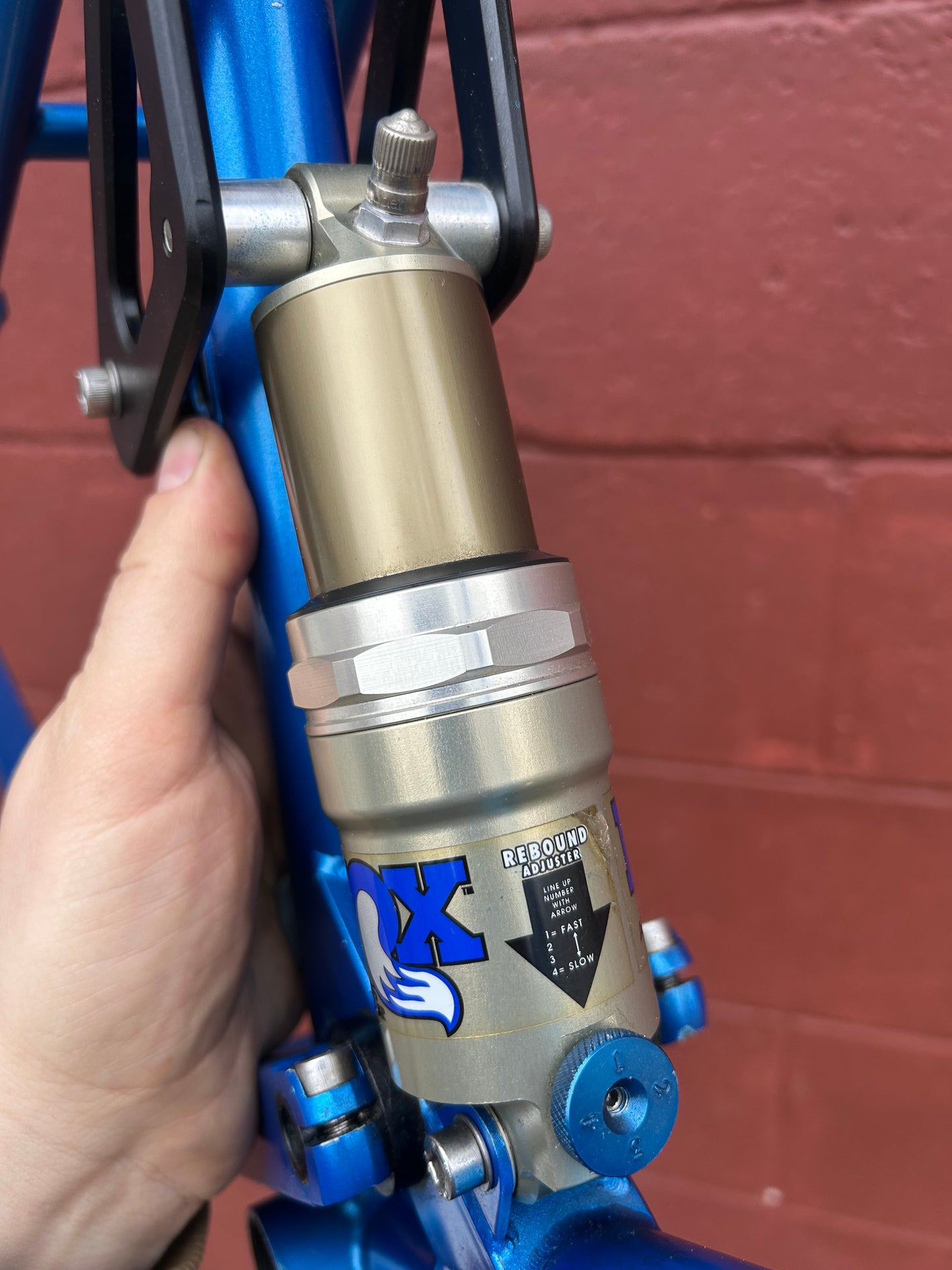 19.5" Fat Chance Medium/Large Shock A Billy Frame
