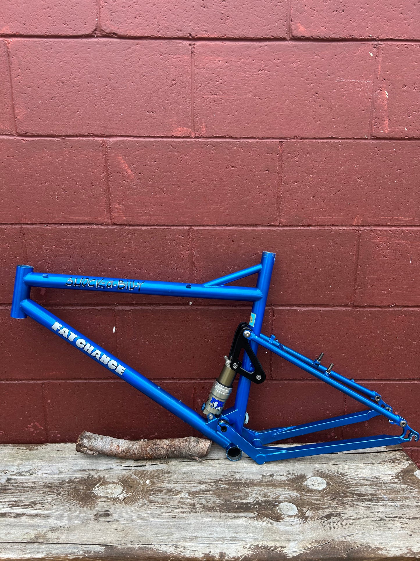 19.5" Fat Chance Medium/Large Shock A Billy Frame