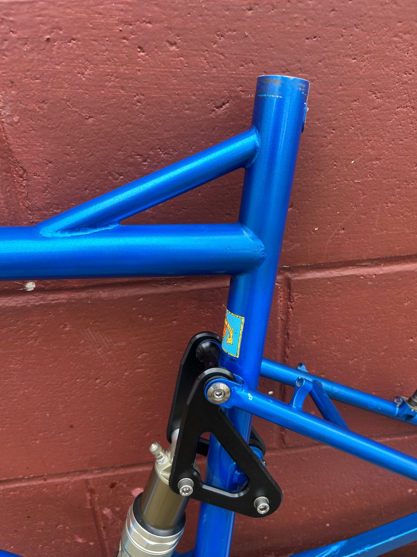 19.5" Fat Chance Medium/Large Shock A Billy Frame