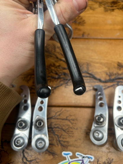 Grafton Re-Entry Brake Levers and Speed Controller Silver Brake Set