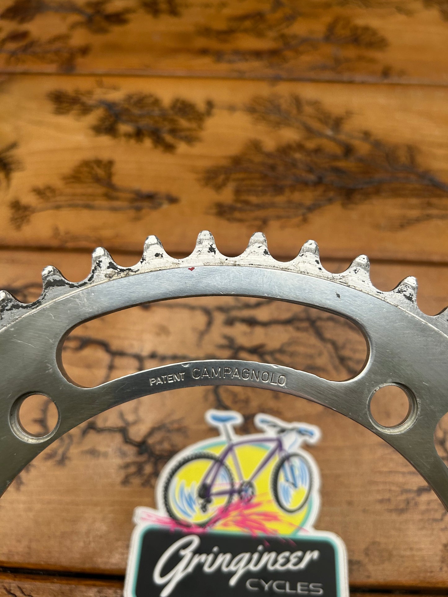 Campagnolo 49 Tooth 144 BCD Chainring