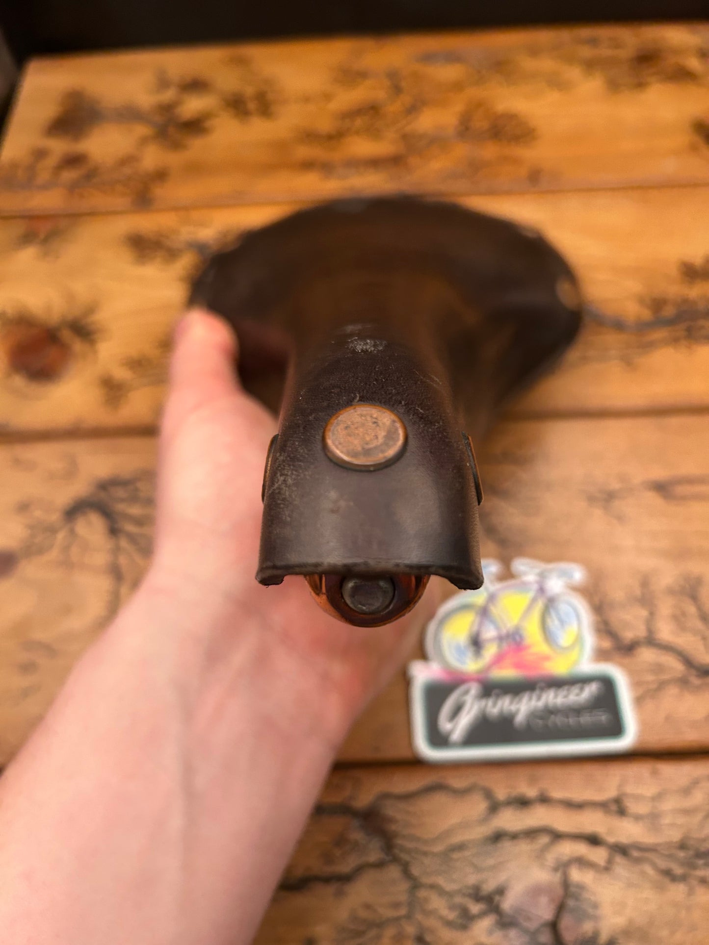Brooks Professional Leather Saddle