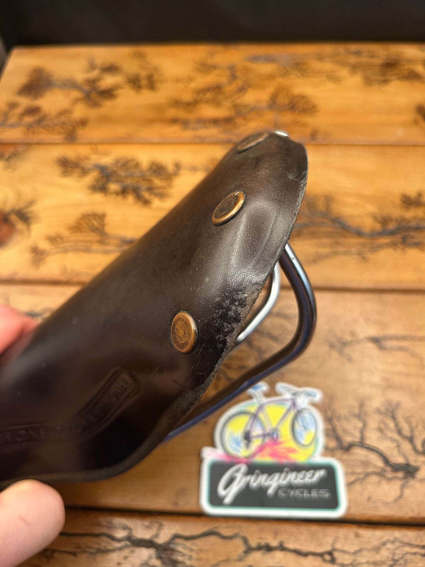 Brooks Professional Leather Saddle