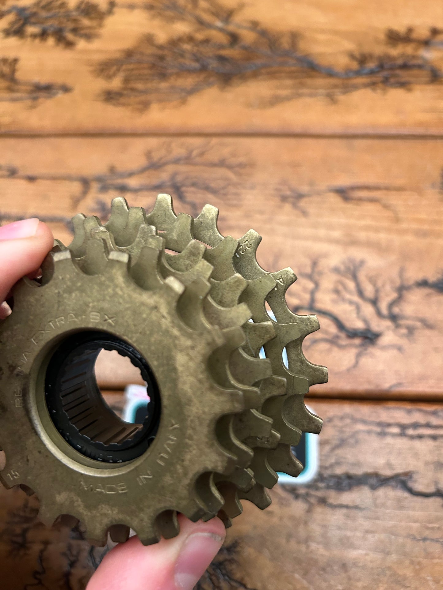 Regina Extra 15-22 6 Speed Freewheel NOS