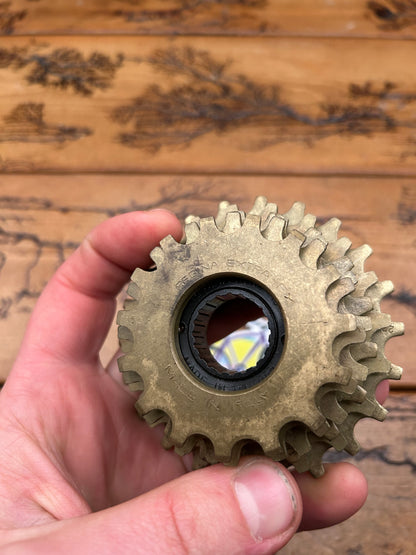 Regina Extra 15-22 6 Speed Freewheel NOS
