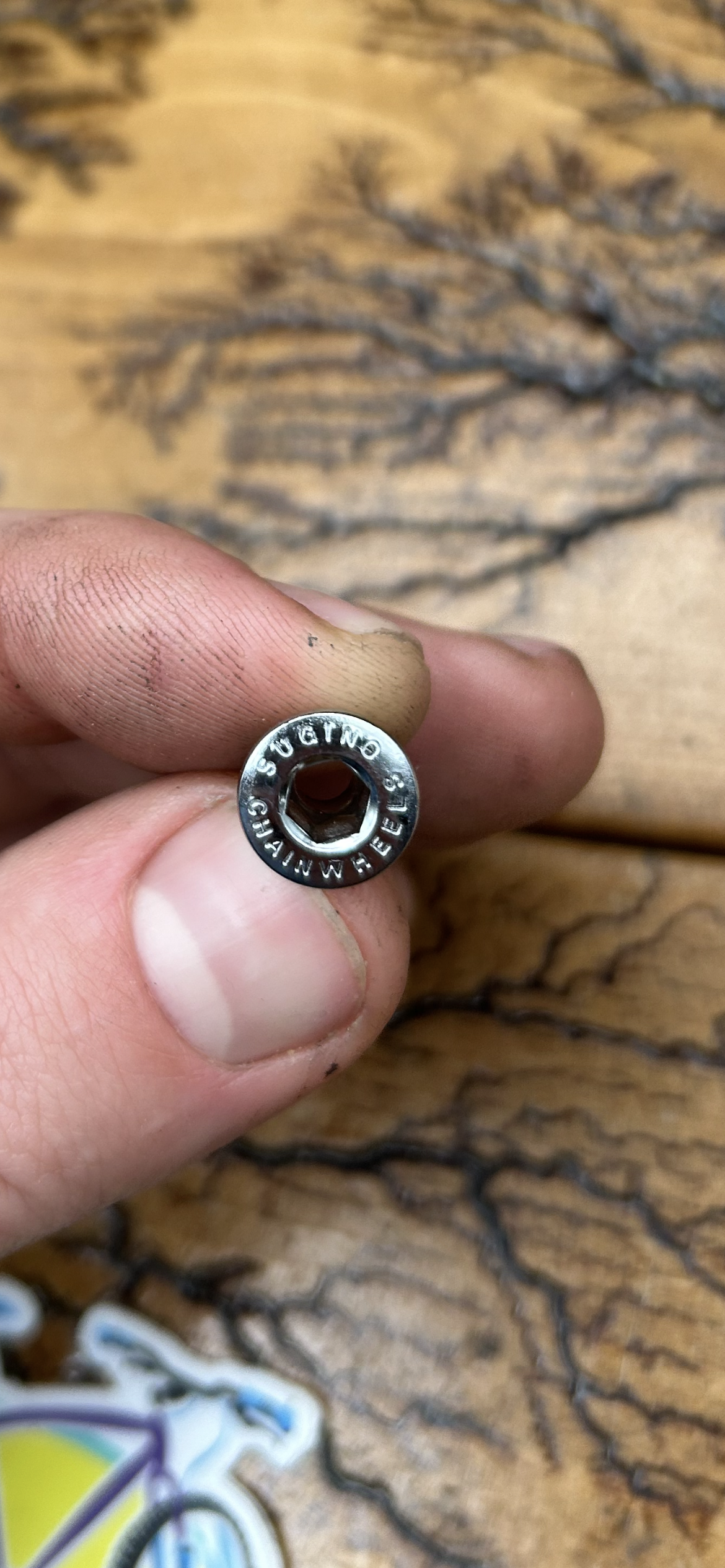 Sugino Chainring Bolts Set Of 5 NOS