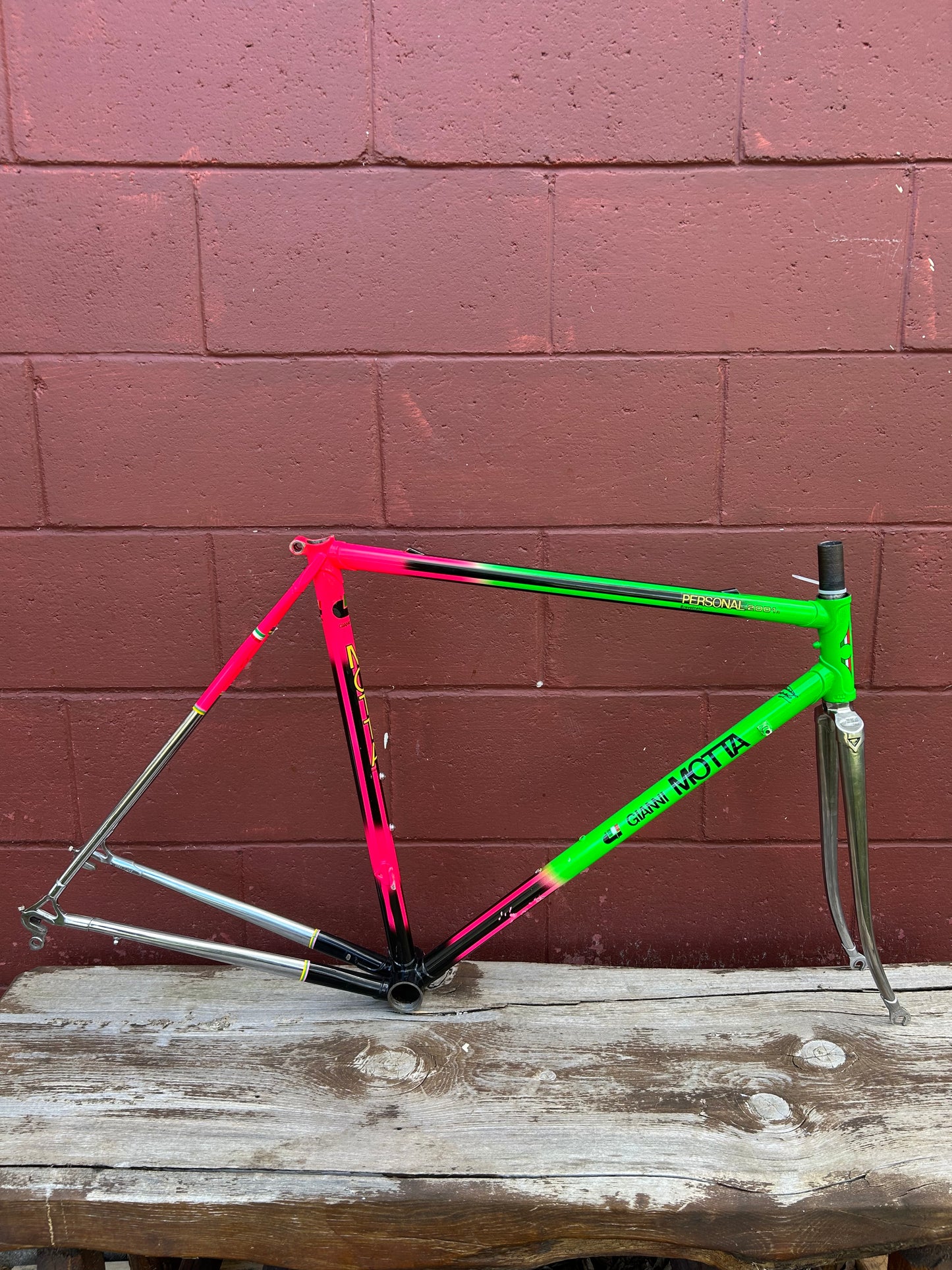 54cm Gianni Motta Personal 2001R Frameset