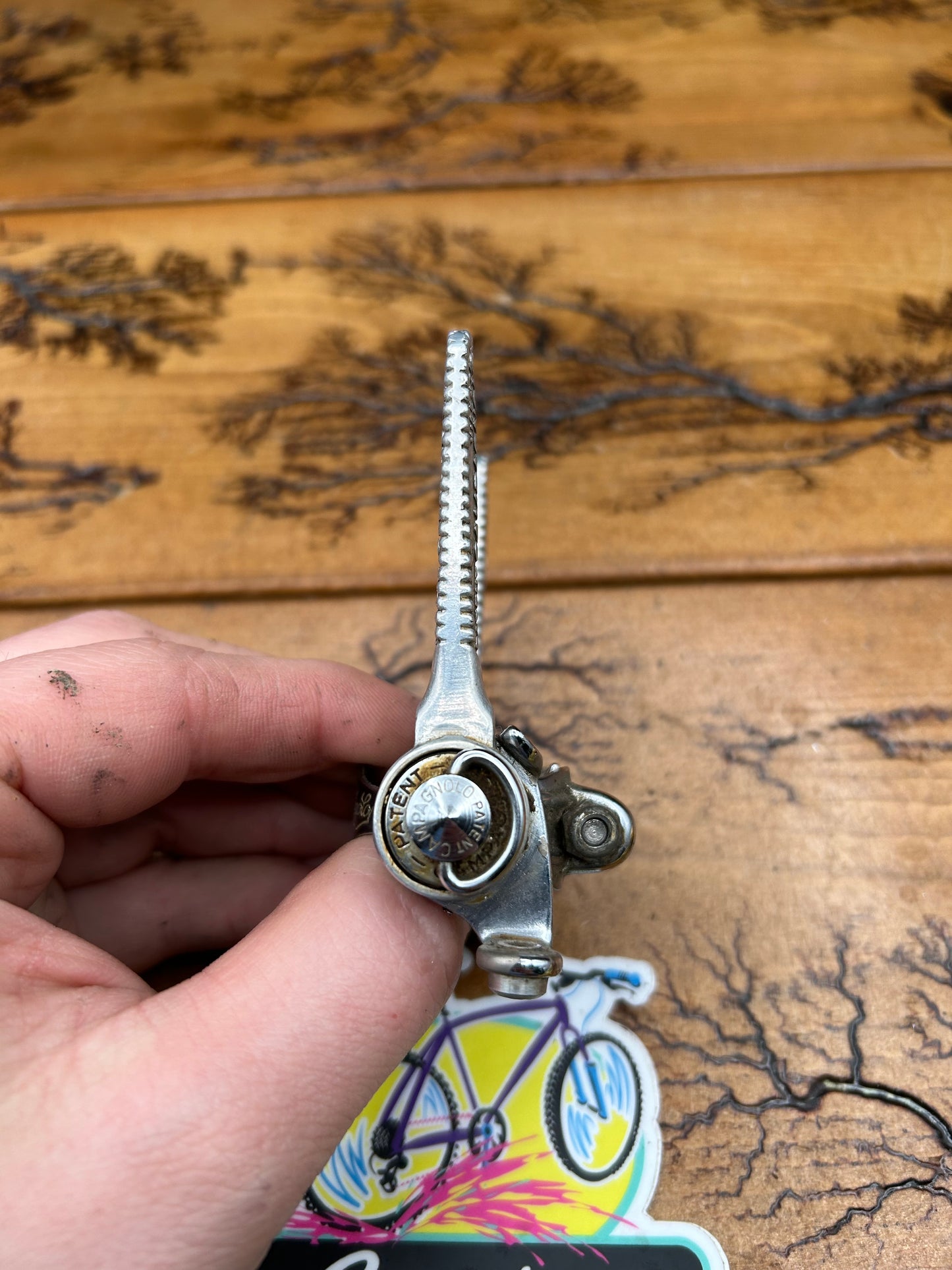 Campagnolo Record 1014 Down Tube Shifters