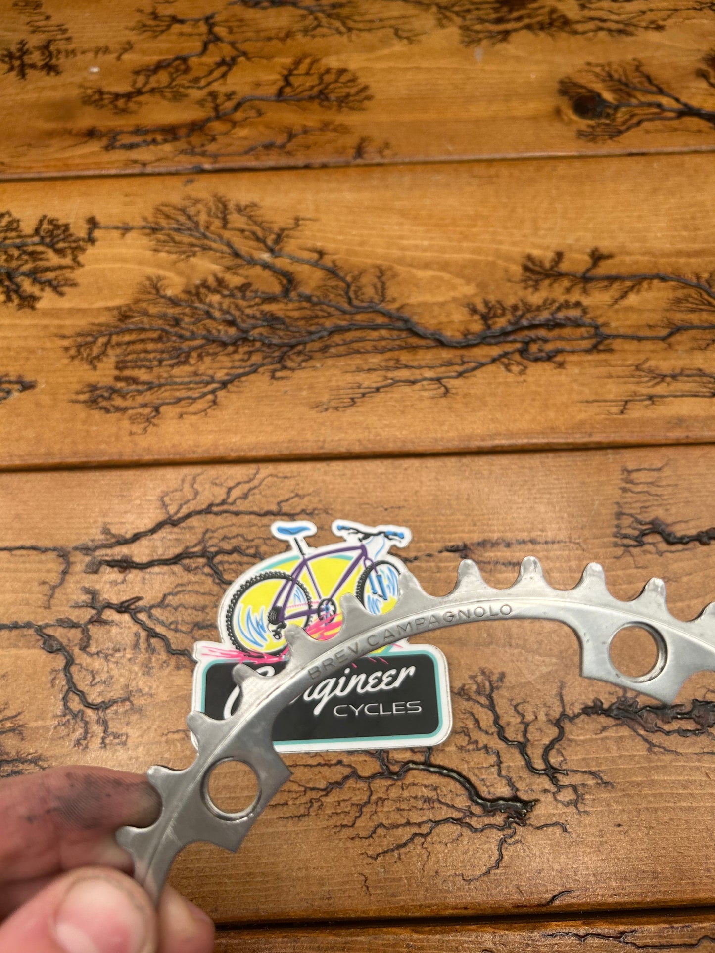 Campagnolo 42 Tooth 144 BCD Chainring