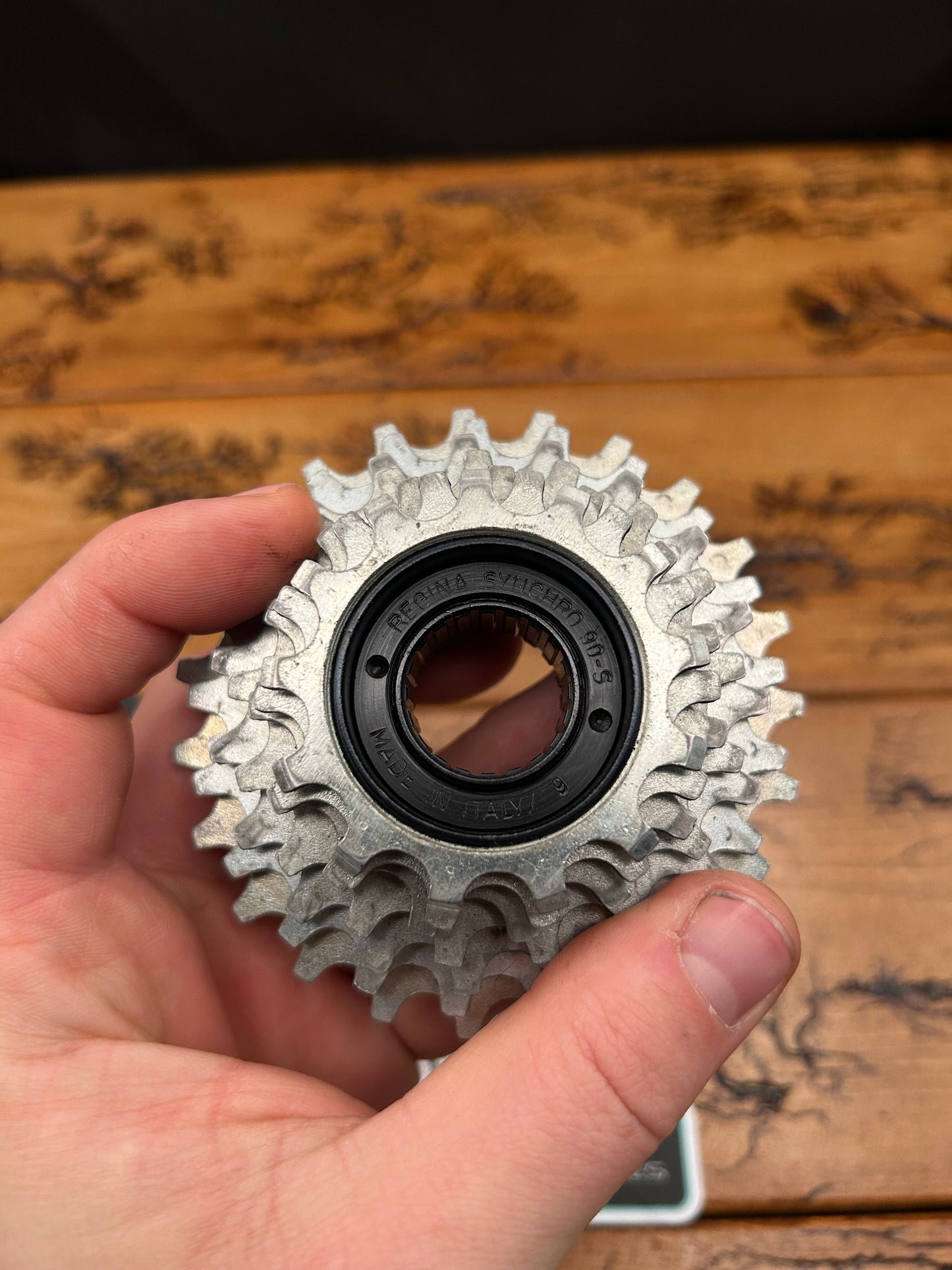 Regina Extra Synchro 90-S 13-23 7 Speed Freewheel