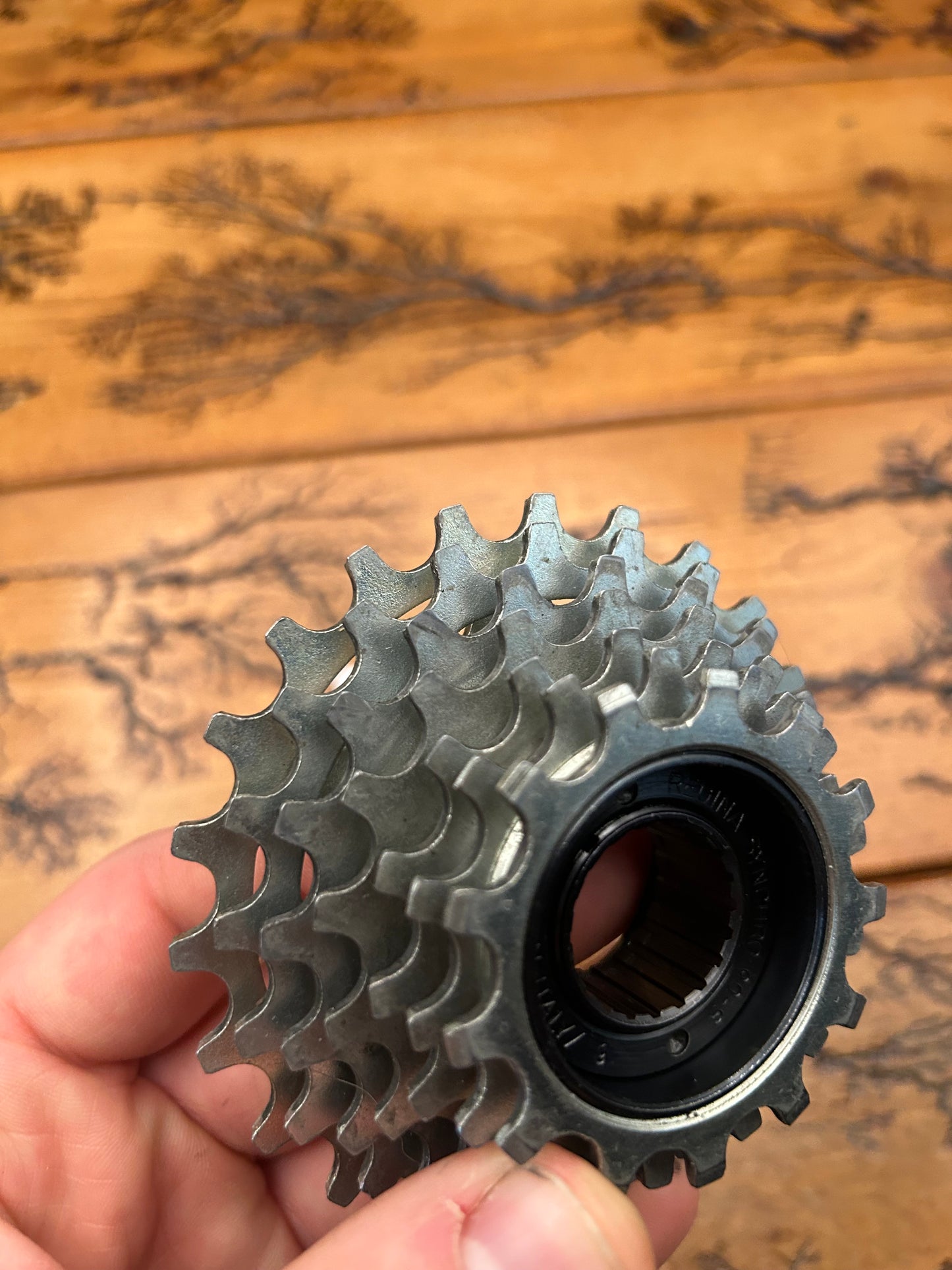 Regina Extra Synchro 90-S 13-23 7 Speed Freewheel