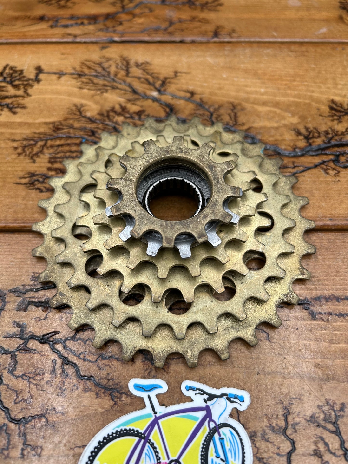 Regina ORO 12-31 6 Speed Freewheel NOS