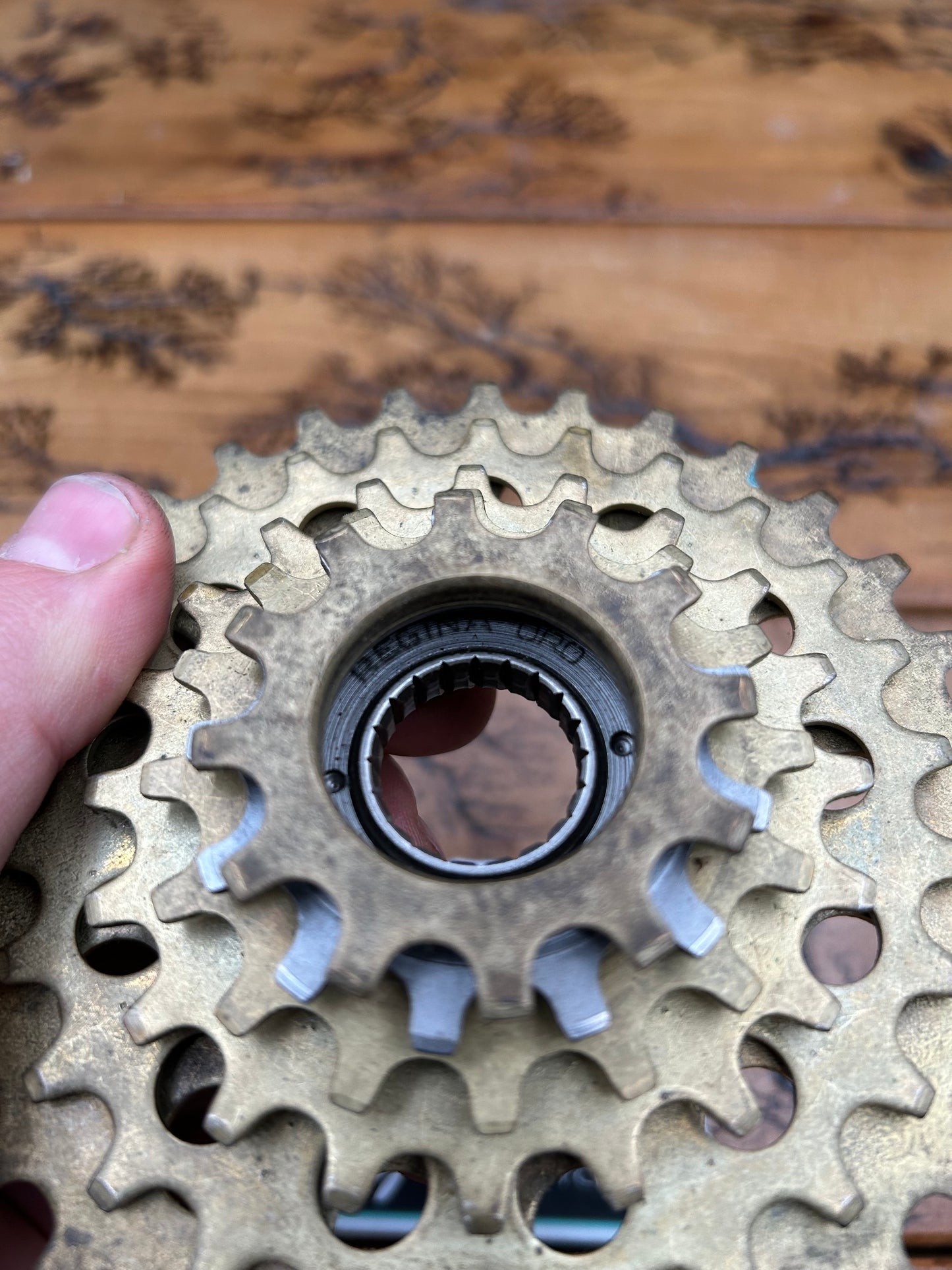 Regina ORO 12-31 6 Speed Freewheel NOS