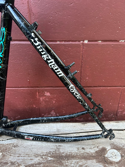 1992 19" Schwinn Paramount Series 30 PDG Frame