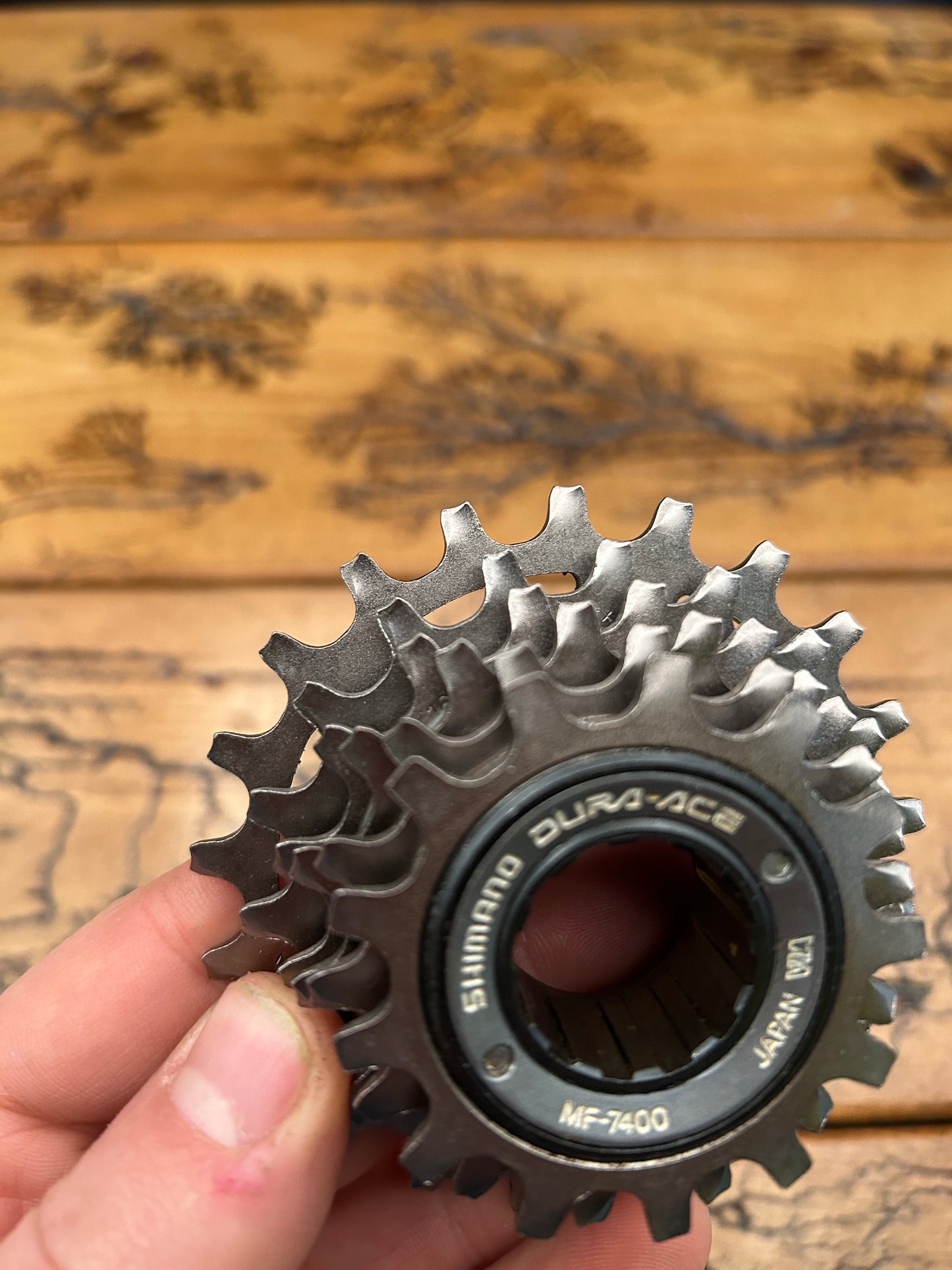 Shimano Dura Ace MF-7400 13-21 6 Speed Freewheel NOS