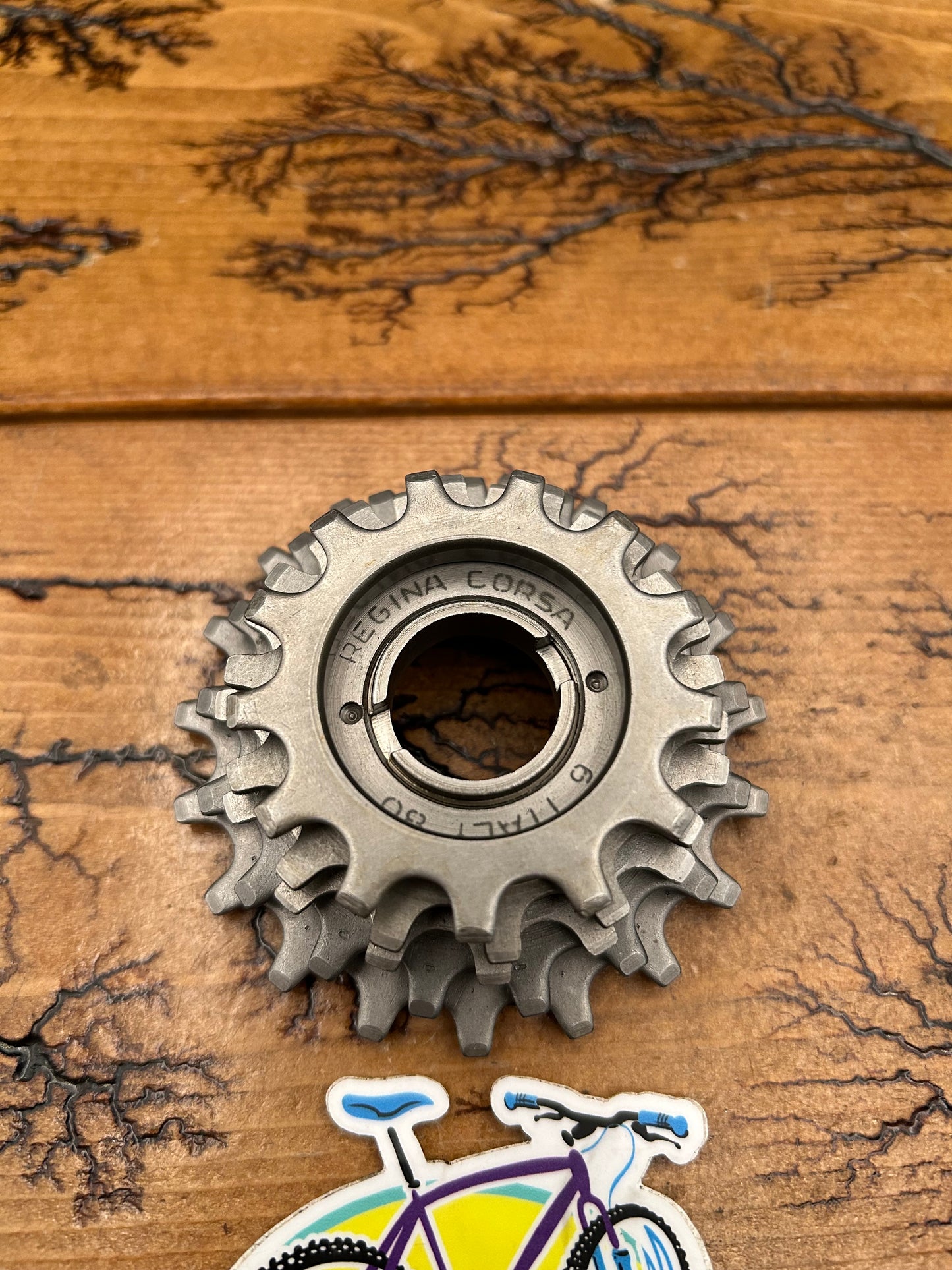 Regina Extra 13-19 5 Speed Freewheel NOS