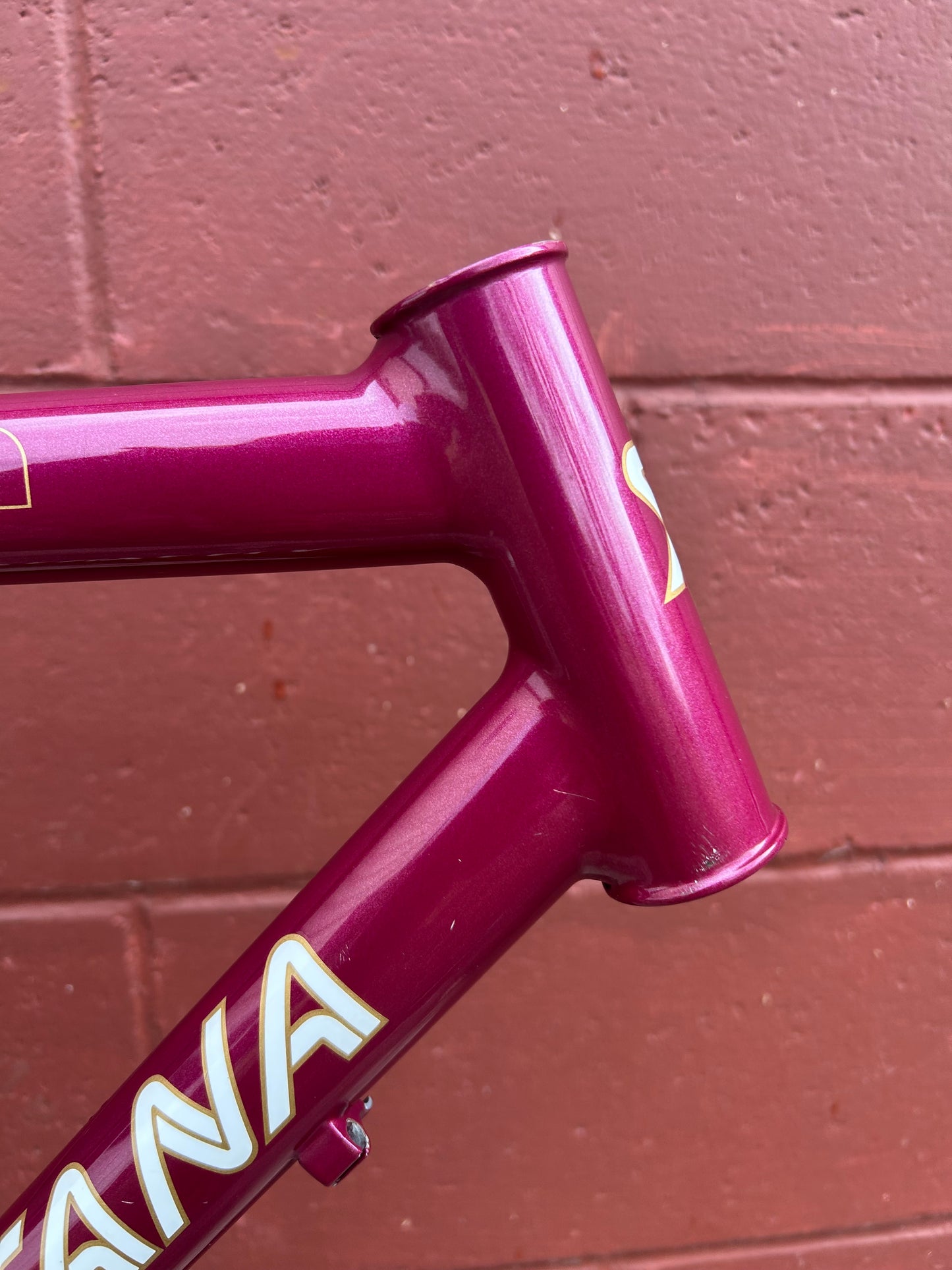 1992 20.5" Santana Moda Frame