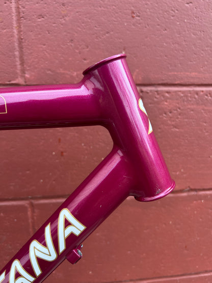 1992 20.5" Santana Moda Frame