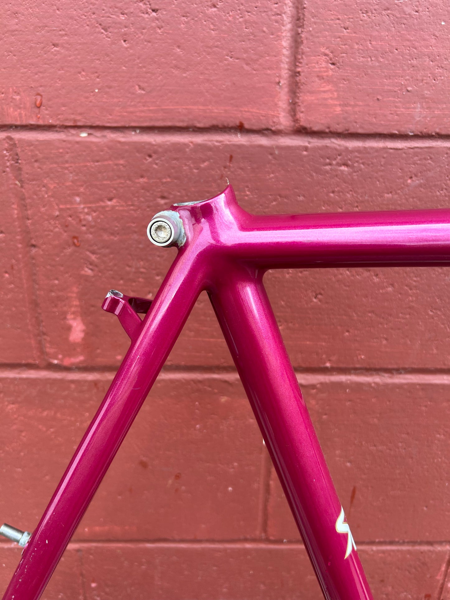 1992 20.5" Santana Moda Frame