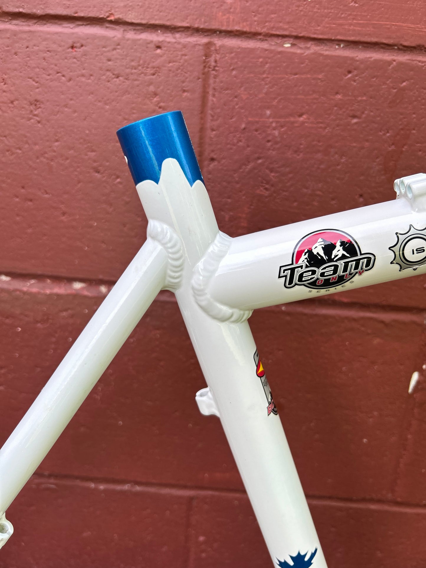 19.5" Rocky Mountain Vertex T.O Frame